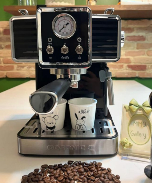 ۸۶۸ گوسونیک